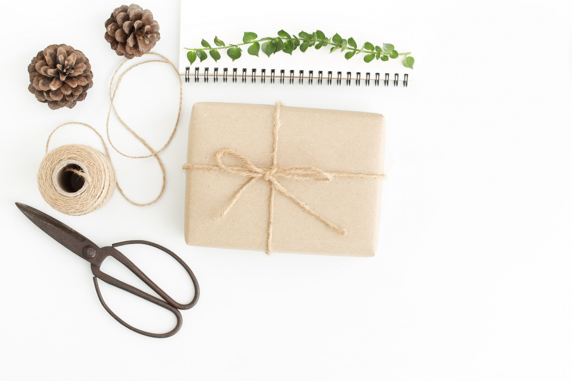 flat lay of subscription package and threads